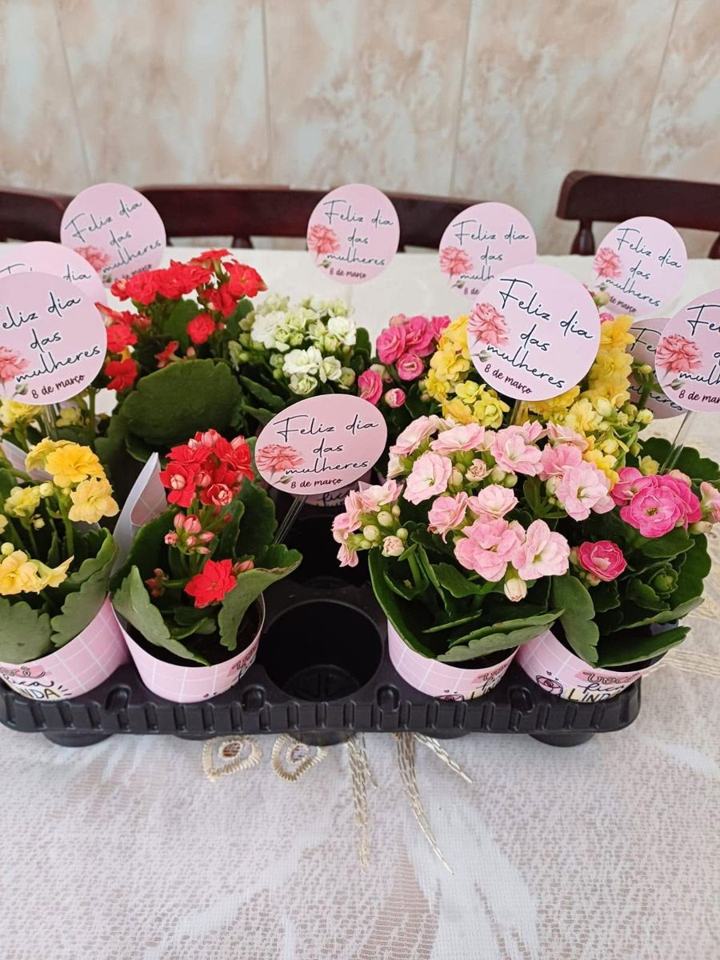 Vasinhos de flores com cartões de feliz Dia das Mulheres